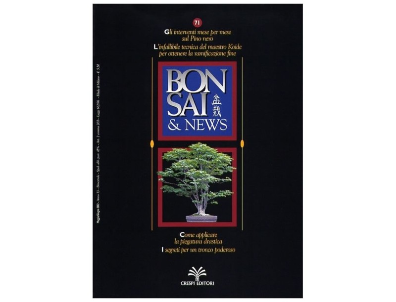 BONSAI & news n.  71 - Maggio-Giugno 2002