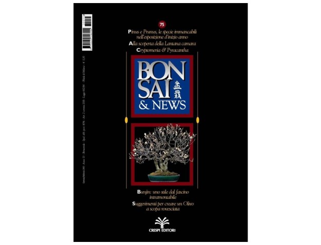BONSAI & news n.  75 - Gennaio-Febbraio 2003