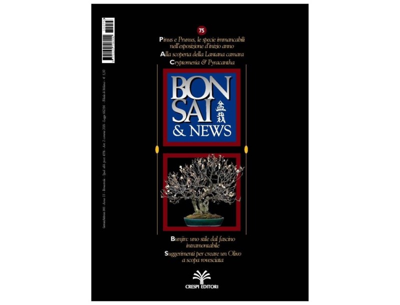 BONSAI & news n.  75 - Gennaio-Febbraio 2003