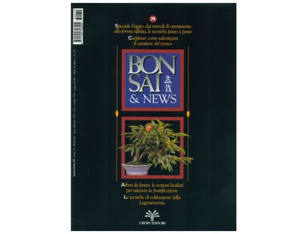BONSAI & news n.  79 - Settembre-Ottobre 2003