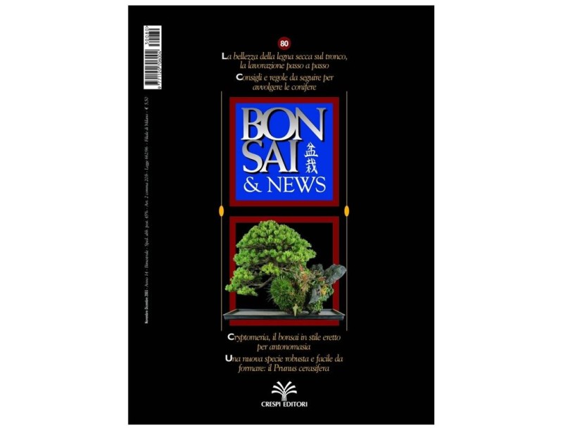 BONSAI & news n.  80 - Novembre-Dicembre 2003