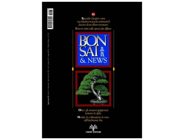 Bonsai & news n.  83 - Maggio-Giugno 2004