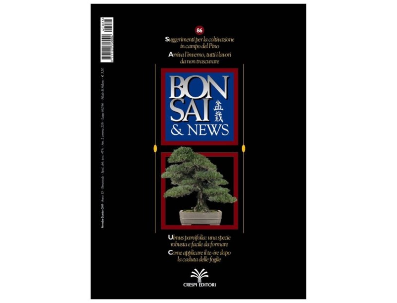 BONSAI & news n.  86 - Novembre-Dicembre 2004
