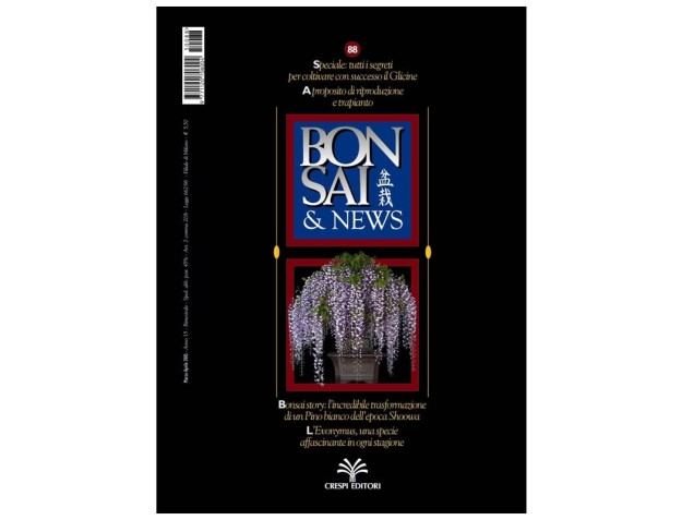 BONSAI & news n.  88 - Marzo-Aprile 2005