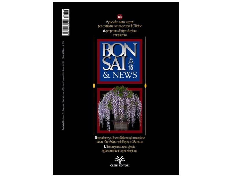 BONSAI & news n.  88 - Marzo-Aprile 2005