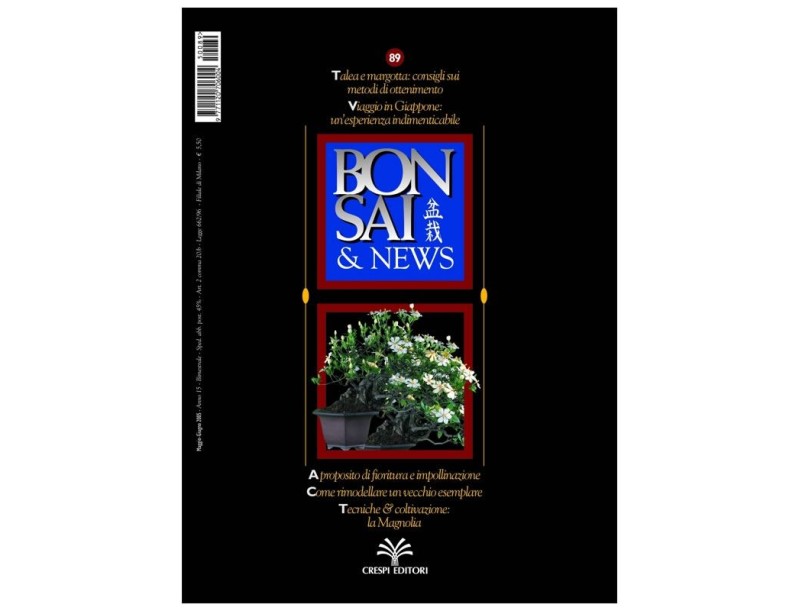 BONSAI & news n.  89 - Maggio-Giugno 2005