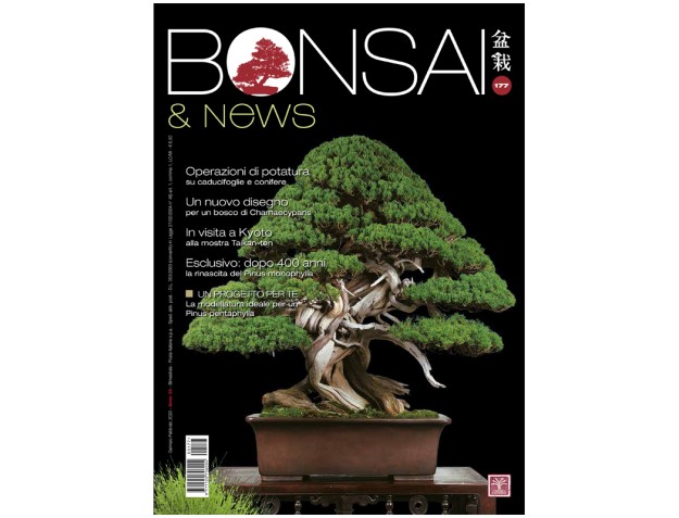 BONSAI & news 177 - Janvier-Fevrier 2020