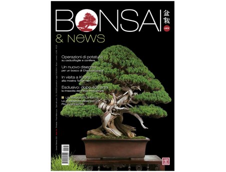 BONSAI & news 177 - January-February 2020