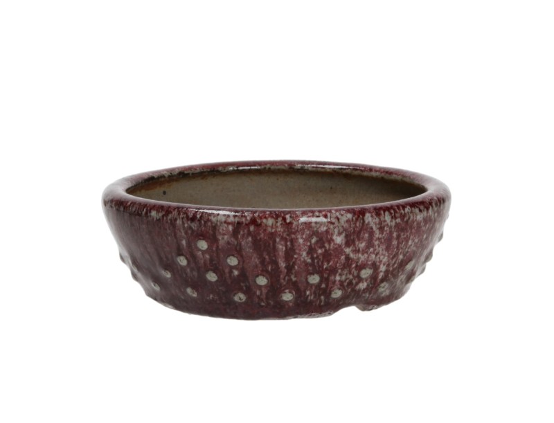 Vaso Shuiming 14 cm