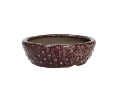 Vaso Shuiming 14 cm