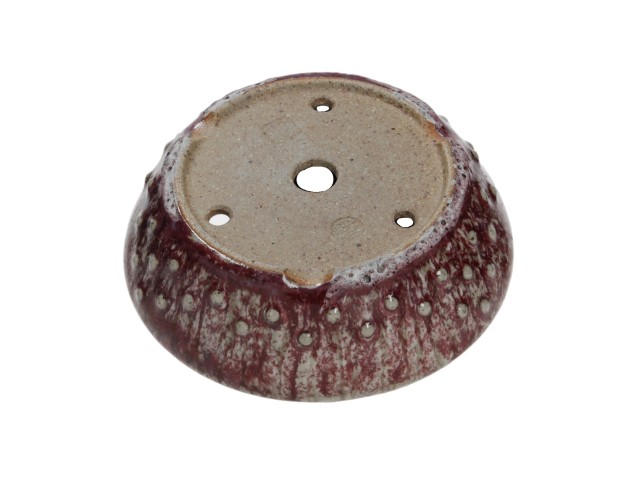Pot Shuiming 14 cm 2