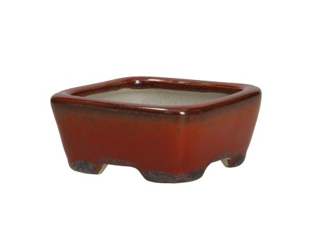 Pot Shuiming 9 cm