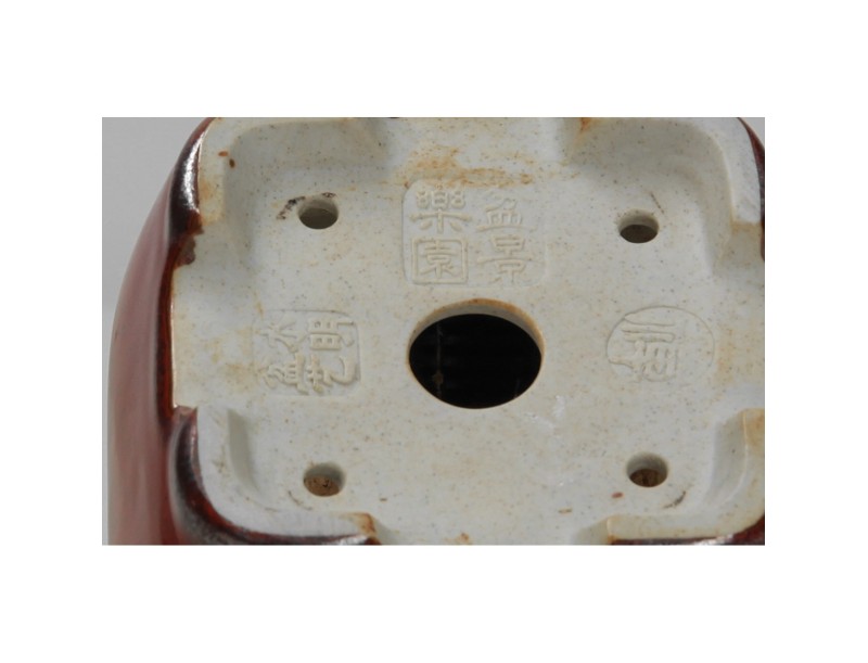 Pot Shuiming 9 cm