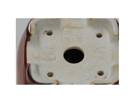 Vaso Shuiming 9 cm