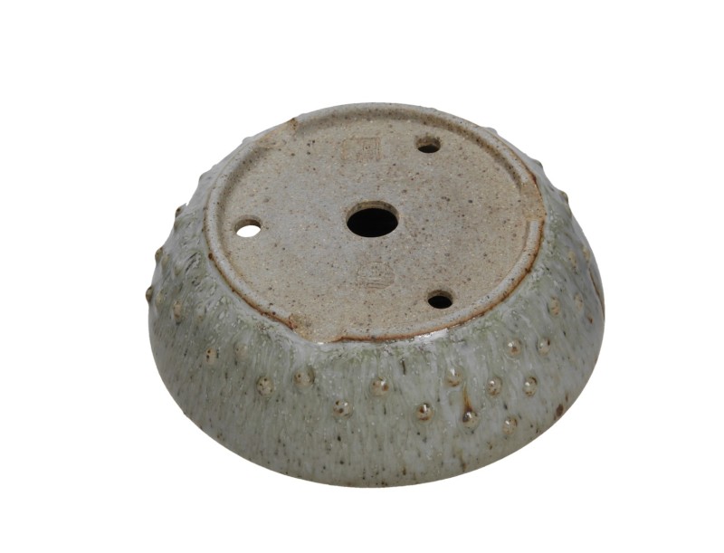 Vaso Shuiming 14 cm