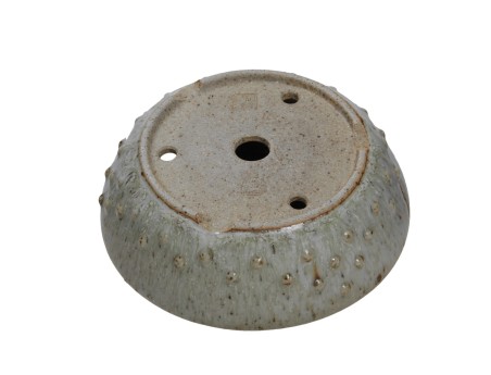 Pot shuiming 14cm