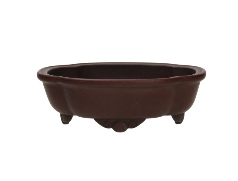Pot Shuiming 20 cm