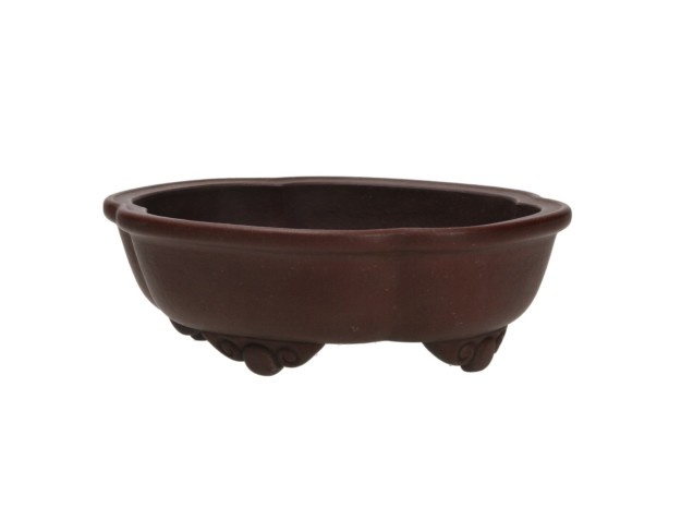 Pot Shuiming 20 cm 2