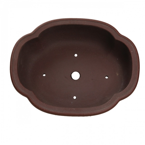 Pot Shuiming 20 cm