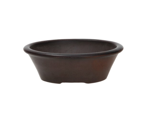 Pot Shuiming 10 cm