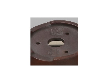 Pot Shuiming 10 cm