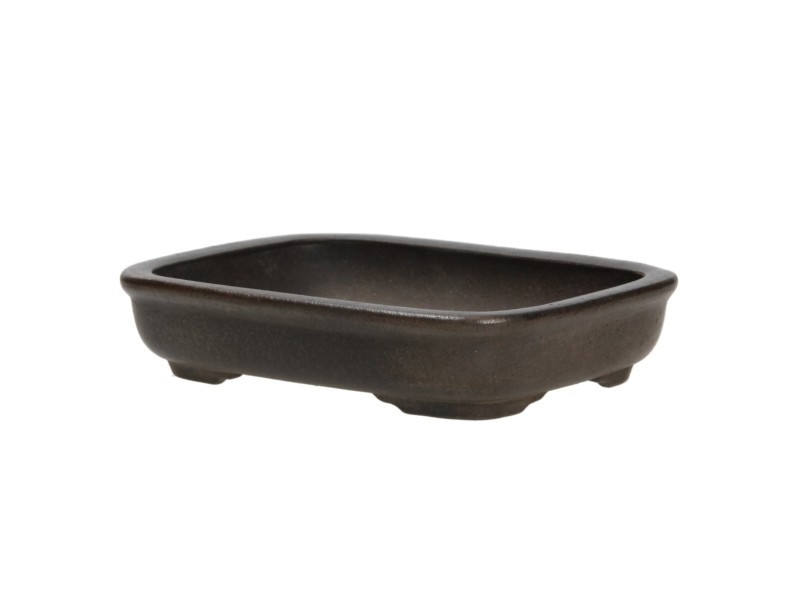 Pot Shuiming 16 cm