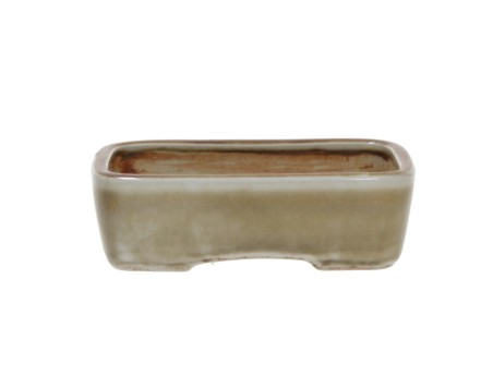 Vaso 10 cm per bonsai