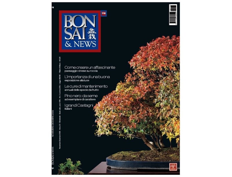 BONSAI & news n. 116 - Novembre-Dicembre 2009