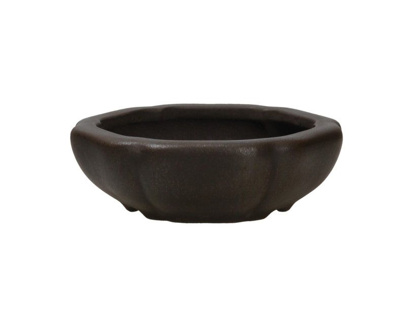 Pot Shuiming 12,3 cm