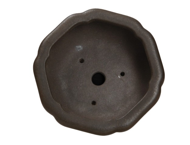 Pot Shuiming 12,3 cm 2
