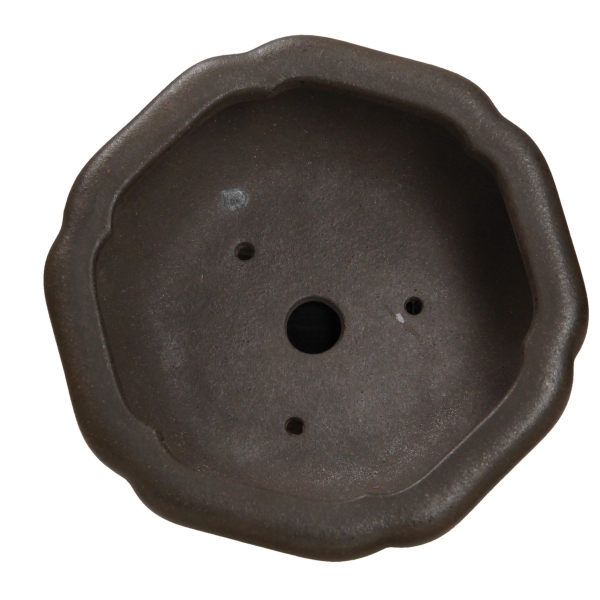 Pot Shuiming 12,3 cm
