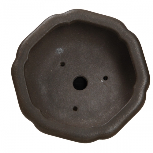 Pot Shuiming 12,3 cm