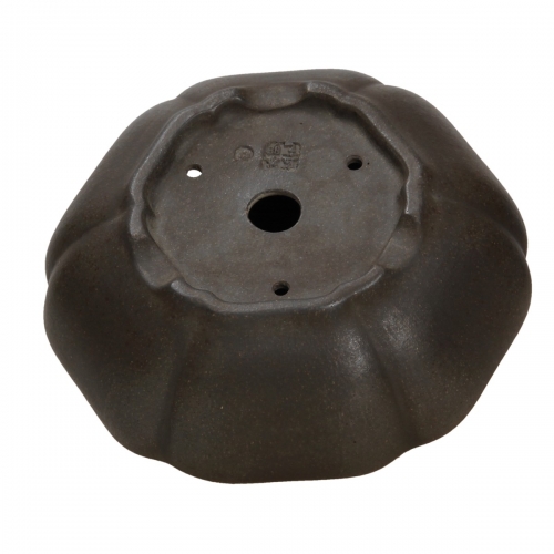 Pot Shuiming 12,3 cm