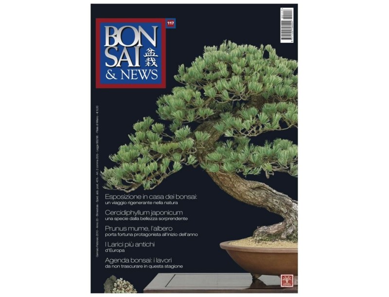 BONSAI & news n. 117 - Gennaio-Febbraio 2010