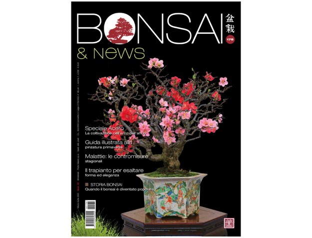 BONSAI & news 178 - Marzo-Aprile 2020