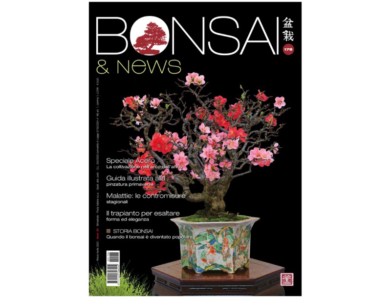BONSAI & news 178 - March-April 2020