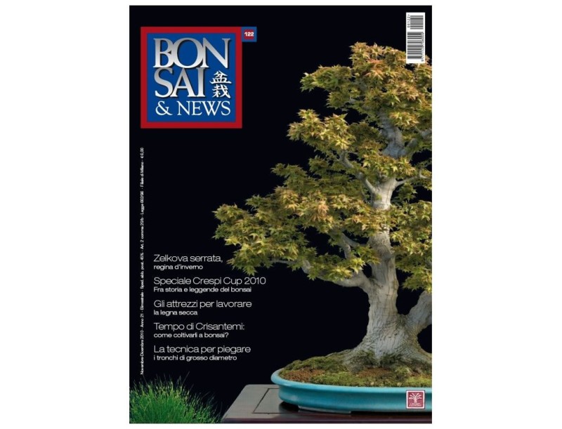 BONSAI & news n. 122 - Novembre-Dicembre 2010