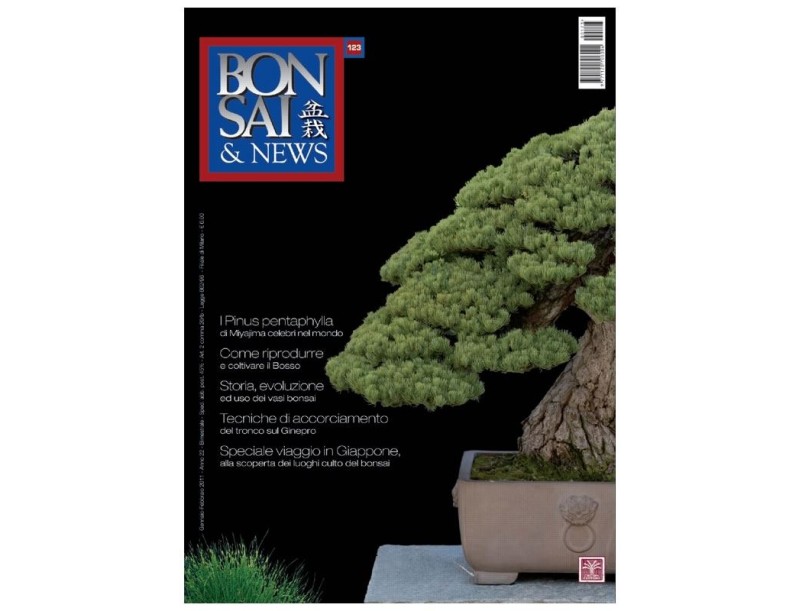 BONSAI & news n. 123 - Gennaio-Febbraio 2011