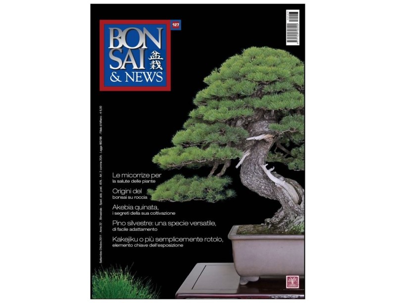 BONSAI & news n. 127 - Settembre-Ottobre 2011