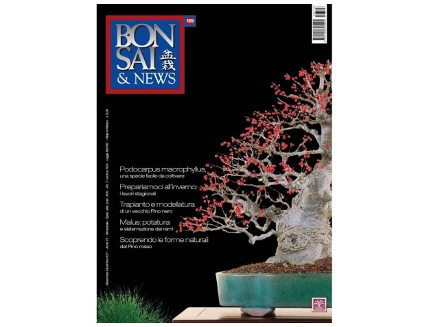 BONSAI & news n. 128 - Novembre-Dicembre 2011
