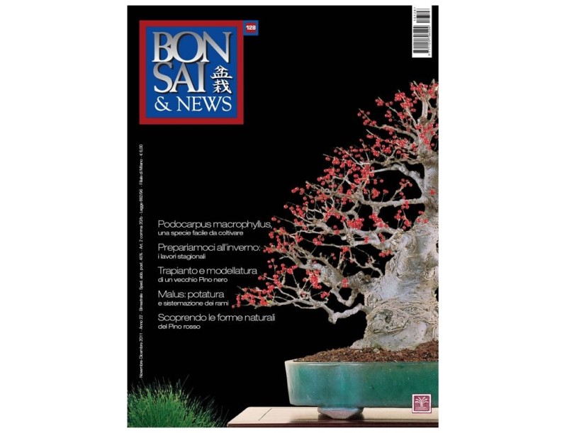 BONSAI & news n. 128 - Novembre-Dicembre 2011