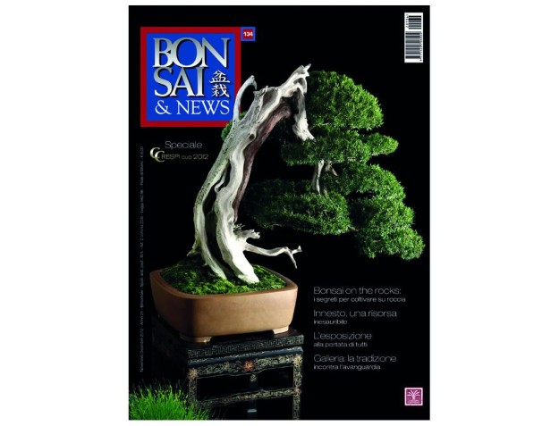 BONSAI & news n. 134 - Novembre-Dicembre 2012