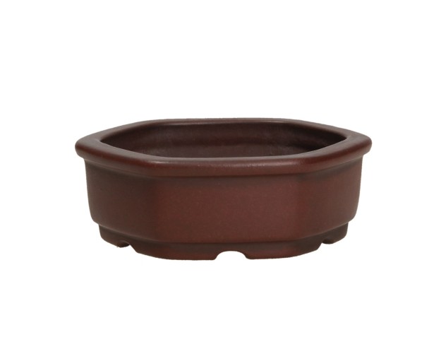 Vaso Shuiming 9,5 cm