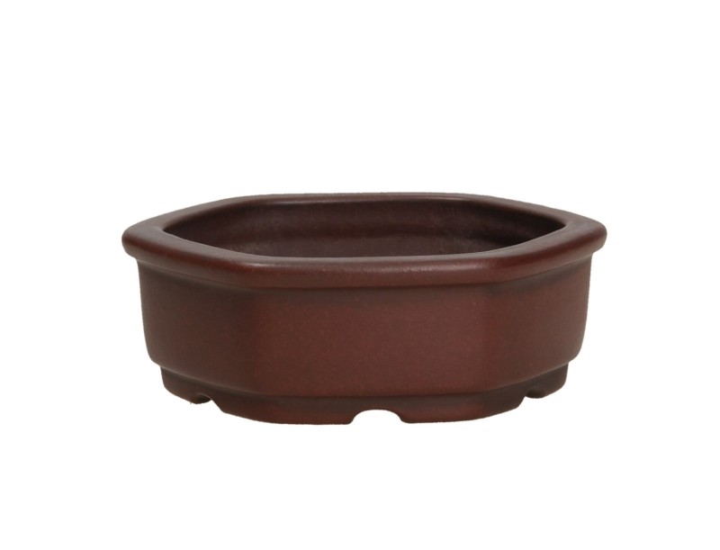 Vaso Shuiming 9,5 cm