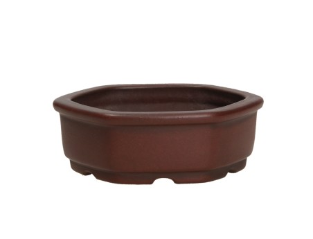 Pot Shuiming 9,5 cm