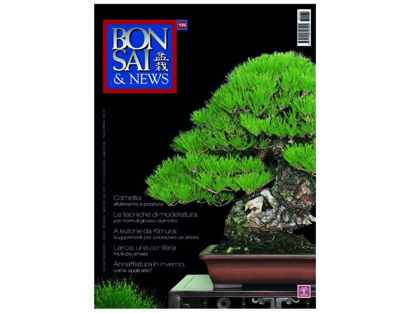 BONSAI & news n. 135 - Gennaio-Febbraio 2013