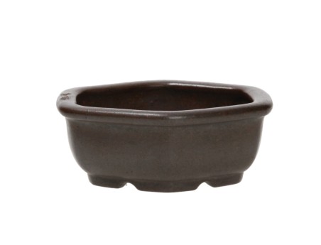 Vaso Shuiming 11,5 cm