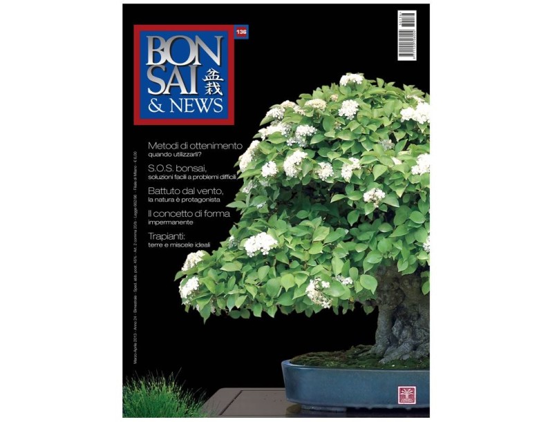 BONSAI & news n. 136 - Marzo-Aprile 2013