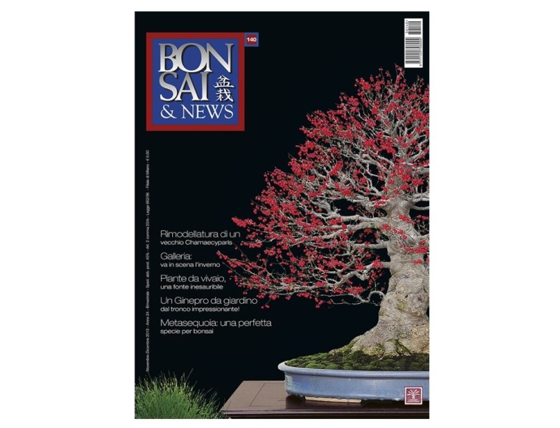 BONSAI & news n. 140 - Novembre-Dicembre 2013