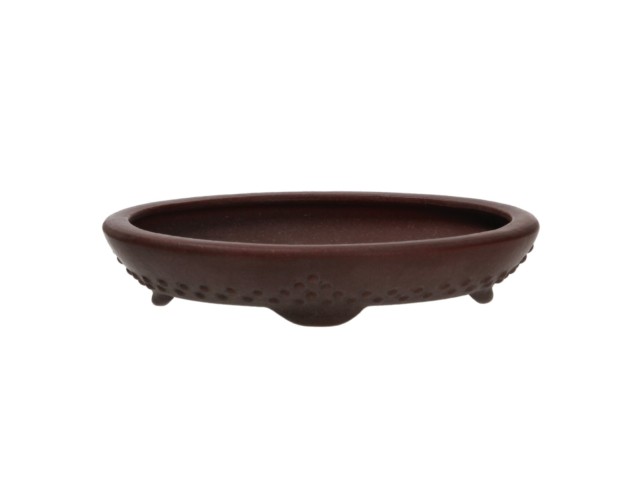 Vaso Shuiming 12,3 cm